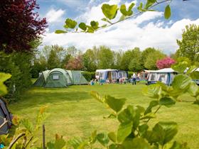 Camping De Uitwijk in De Heen