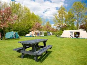 Camping De Uitwijk in De Heen