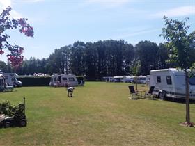 Camping 't Brenneke in Sambeek