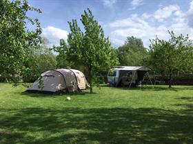 Camping Nummer 49 in Driewegen