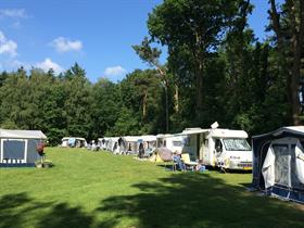 Camping Hartje Groen in Schaijk