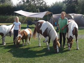 Camping De Paardenwei in Oostburg