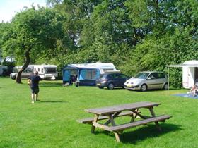 Camping Harmina Hoeve in Sellingen