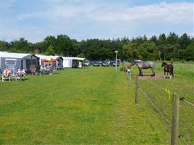 Camping Boszicht in Wilbertoord