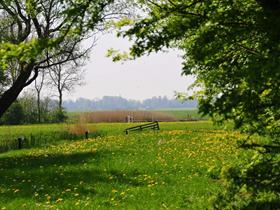 Camping Old Huystra State in Morra