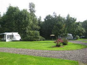 Camping De Hoeve in Westerlee