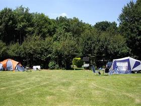 Camping Alkenhaer in Appelscha