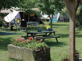 Camping Remmelink in Drempt