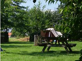 Camping Buitenwedde in Wedde