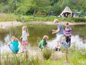 Camping De Klashorst in Diffelen