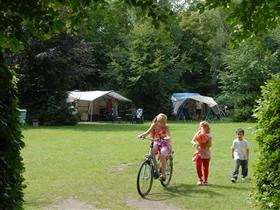 Camping Landgoed Molecaten in Hattem