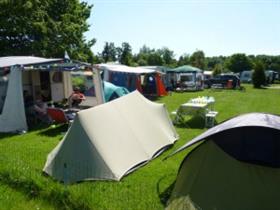 Camping 't Wisentbos in Dronten