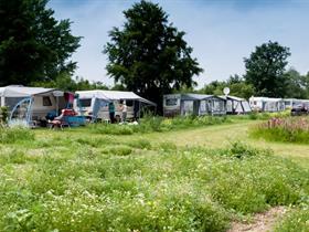 Camping De Kikker in Hall