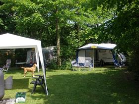 Camping De Roos in Vrouwenparochie