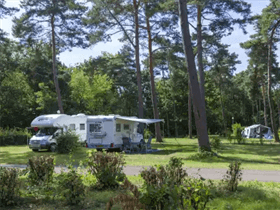 Camping De Wije Werelt in Otterlo