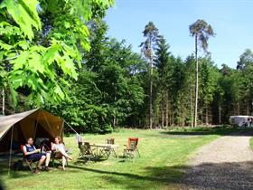 Camping 't Vlintenholt in Odoorn