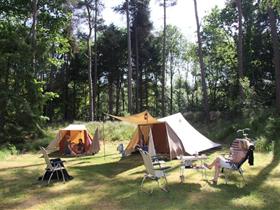 Camping 't Vlintenholt in Odoorn