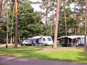 Camping Brugse Heide in Valkenswaard