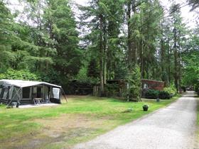 Camping Zwaluwenhof in Hulshorst