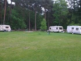 Camping Zwaluwenhof in Hulshorst