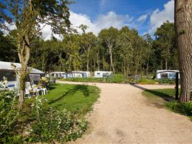 Camping Geversduin in Castricum