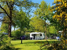 Camping Tamaring in Ruurlo