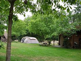 Camping In 't Niet in Maasbree