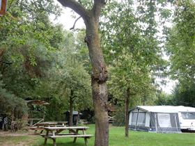 snelweg kosten Plenaire sessie Camping In 't Niet in Maasbree