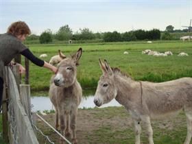 Camping Landhoeve in Nieuw-Lekkerland