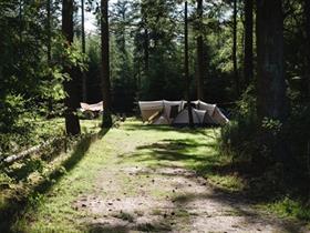 Camping Borger in Drouwen