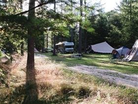 Camping Borger in Drouwen