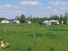 Camping Wetland in Asten