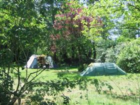 Camping De Olde Lucashoeve in Lemele