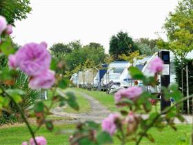 Camping Park Welgelegen in Cadzand