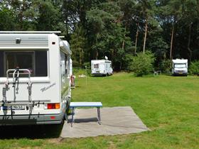 Camping De Wiltzangh in Ruinen