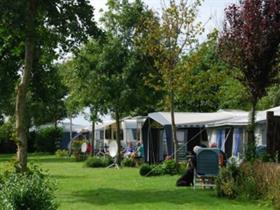 Camping Duinhoeve in Den Helder