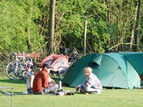 Camping De Ruigenhoek in Noordwijk