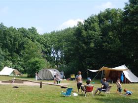 Camping De Ruigenhoek in Noordwijk