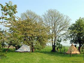 Camping Oude Boomgaard in Snelrewaard