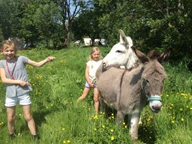 Camping Oude Boomgaard in Snelrewaard