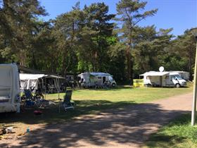 Camping De Witte Wieven in Nunspeet