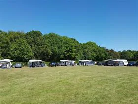 Duinhoeve