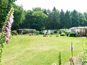Padjelanta
