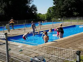 Dennenlust