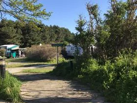 Bloemendaal