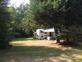 Het Rhanerveld