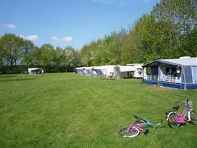 De Weidevogel