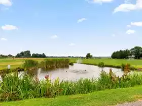 de Nachtzwaluw