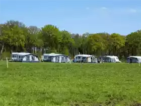 Nieuw Hof