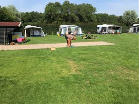 De Hane